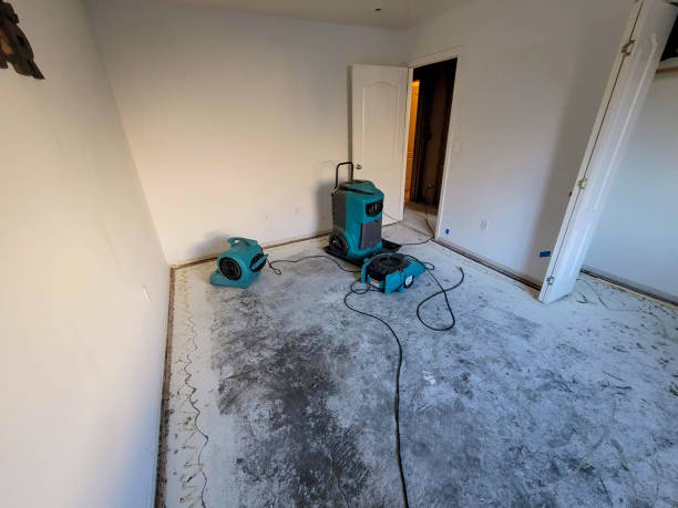 Best Flooded house restoration  in South Huntington, NY