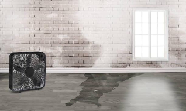 Best Water damage restoration near me  in South Huntington, NY