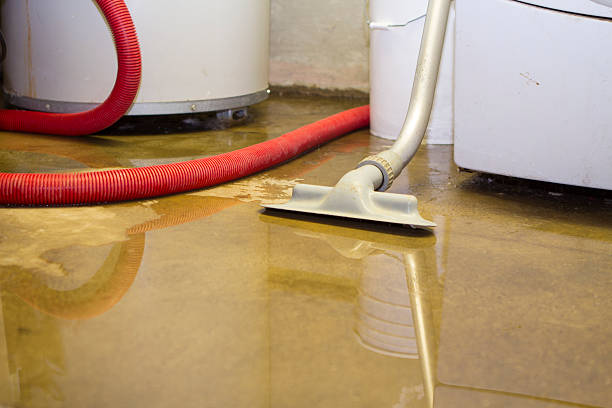 Best Water damage mitigation services  in South Huntington, NY