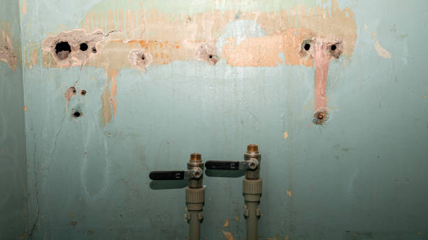 Best Water damage cleanup near me  in South Huntington, NY