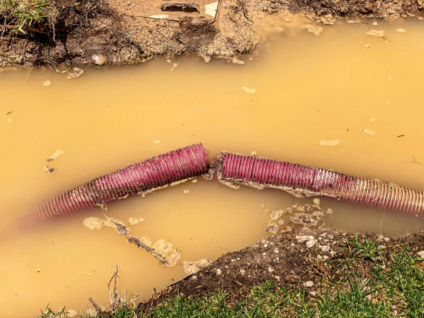 Best 24-hour water damage restoration  in South Huntington, NY