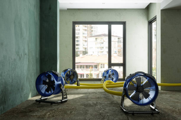 Best Carpet water damage restoration  in South Huntington, NY